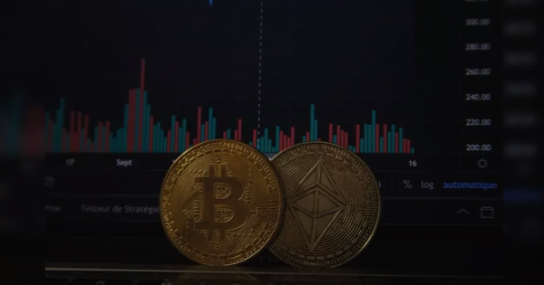 唯比特幣主義者 Bitcoin Maxi的信仰|章濤專欄