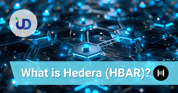 What Is Hedera (HBAR)? The Enterprise-Grade Public Network for the Decentralized Future