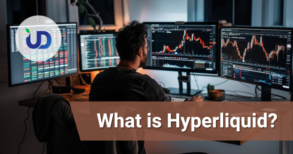 什麽是Hyperliquid？无需KYC的去中心化交易所推动数十亿美元交易