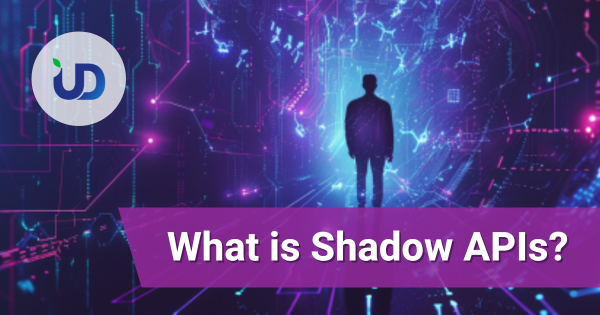 What is Shadow APIs? The Invisible Security Threat 90% of Companies Ignore