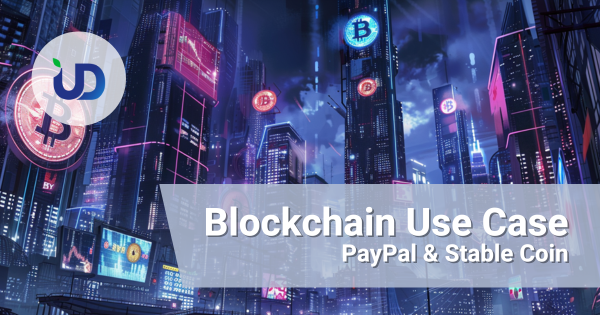 Exploring Blockchain Use Case: PayPal and Stable Coins